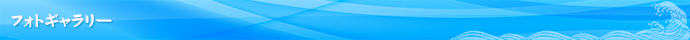 フォトギャラリー
